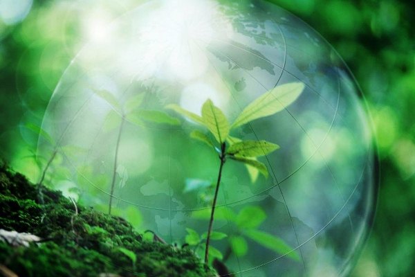 Общественный совет при Минприроды России рассмотрел итоги реализации стартового этапа нацпроекта «Экология»
