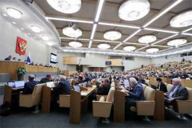 Госдума приняла закон о лесоклиматических проектах в первом чтении