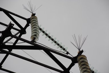 В Чувашии энергетики увеличат количество птицезащитных устройств на ЛЭП