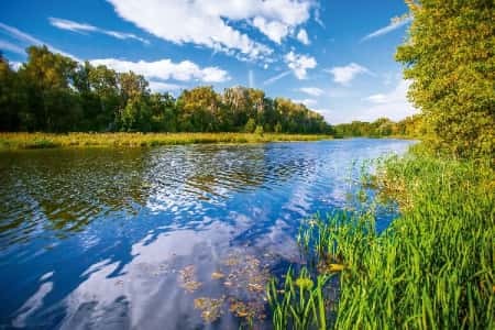 С 2019 года в рамках федерального проекта «Сохранение уникальных водных объектов» расчищено более 190 км участков русел рек