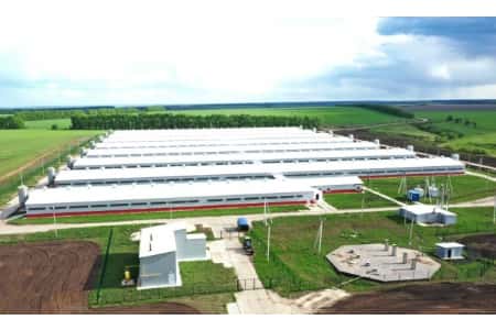 Энергетики «Россети Волга» обеспечили электроснабжение крупного свиноводческого комплекса
