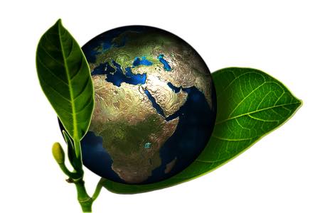 «НОВАТЭК» и Nuovo Pignone подписали соглашение по сокращению выбросов СО2