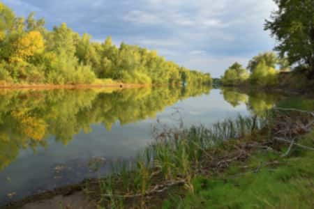 Около тысячи гектаров водных объектов Нижней Волги планируют восстановить в ближайшие два года