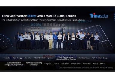 Trina Solar представила новый солнечный модуль мощностью до 600 Вт