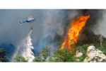 Виктория Абрамченко утвердила «дорожную карту» по совершенствованию системы охраны лесов от пожаров