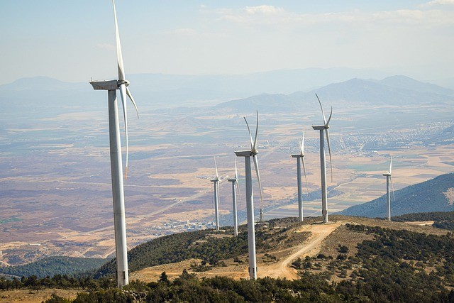 "Лукойл" и Росатом построят в Румынии ветропарк для производства "зеленого" водорода