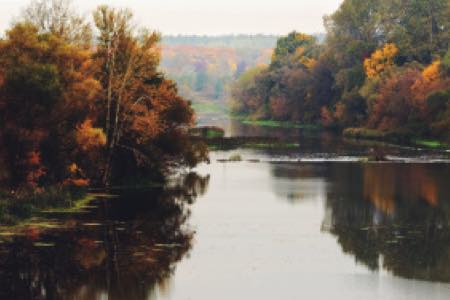 Экологическая реабилитация реки Сейм в Курской области проходит в рамках нацпроекта «Экология»