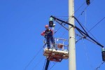 «Саратовские распределительные сети» провели ремонт ЛЭП в левобережье области