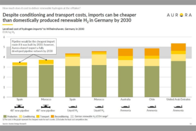 Импорт возобновляемого водорода сможет конкурировать с внутренним производством в ЕС к 2030 г