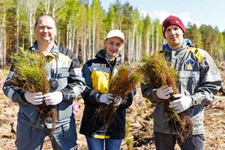 «Роснефть» высадила в 2019 году около 1 миллиона деревьев
