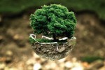Переход на безбумажный документооборот в СИБУРе помогает ежегодно сохранять более 600 деревьев