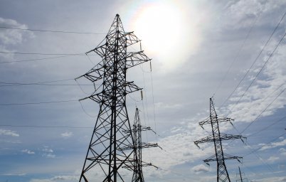 Энергетики &laquo;Россети Волга&raquo; планируют расчистить более 600 га трасс ЛЭП в Республике Мордовия