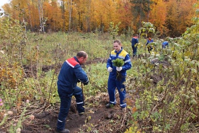Энергетики «Россети Центр и Приволжье Тулэнерго» поддержали Всероссийскую акцию «Живи, лес!»
