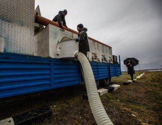 ​ООО «Транснефть – Балтика» выпустило в Финский залив свыше 20 тыс. мальков сига