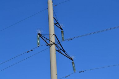 В 2025 году энергетики &laquo;Россети Волга&raquo; установили более 950 птицезащитных устройств на ЛЭП в Пензенской области