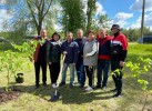 Энергетики "Пензаэнерго" провели акцию по посадке деревьев в Сердобске